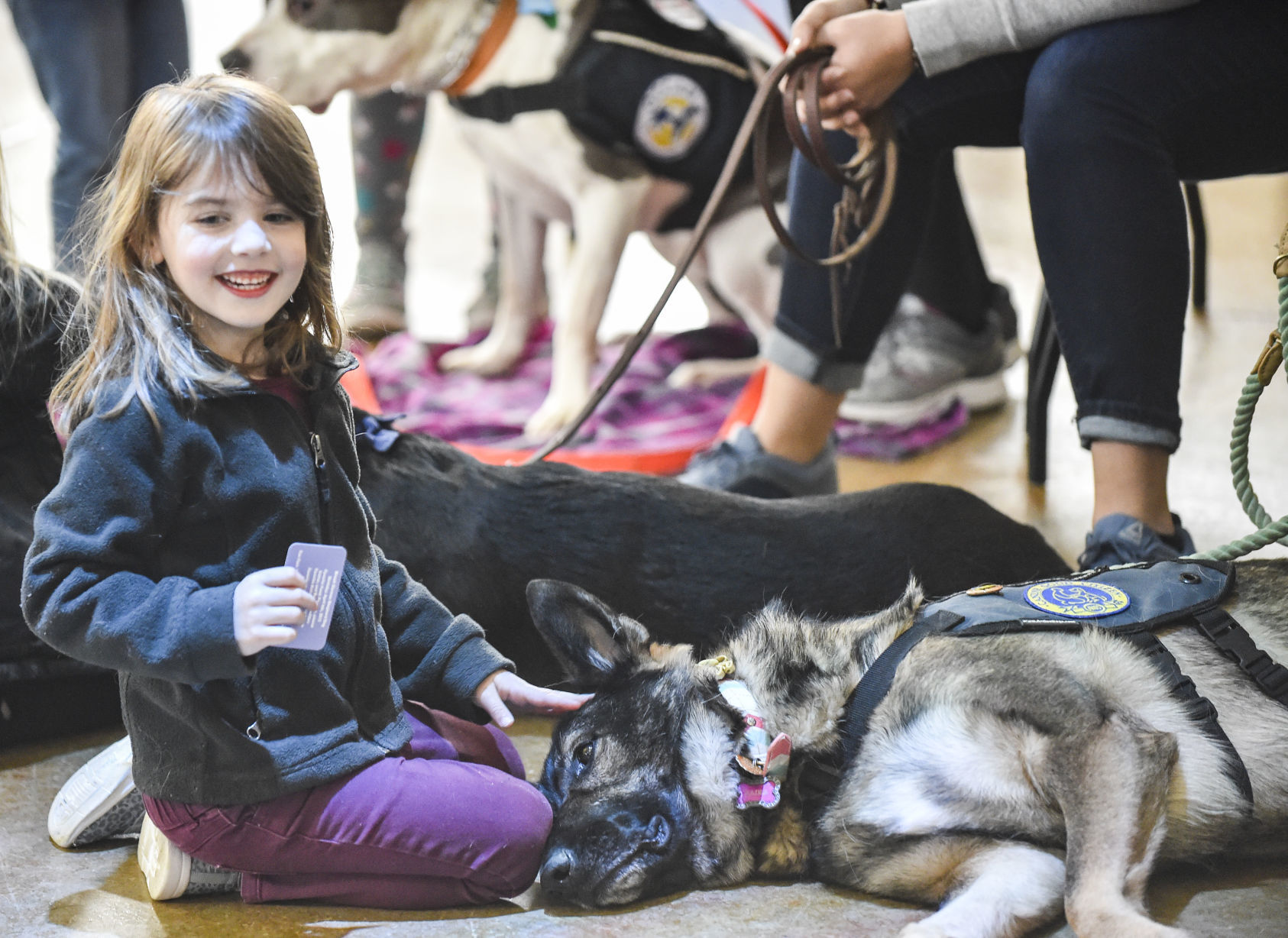 041519-qct-qca-dogs-09.jpg